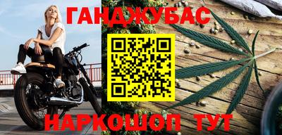 прущие крисы Будённовск