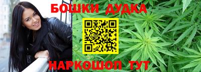 прущие крисы Будённовск