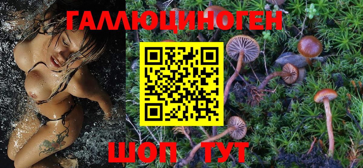Ишимбай  купить закладку  Вход с VPN  Псилоцибиновые грибы Psilocybine cubensis  Галлюциногенные грибы MAGIC MUSHROOMS 